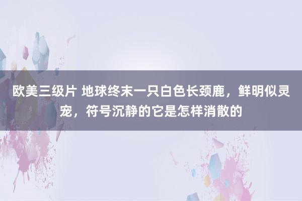 欧美三级片 地球终末一只白色长颈鹿，鲜明似灵宠，符号沉静的它是怎样消散的