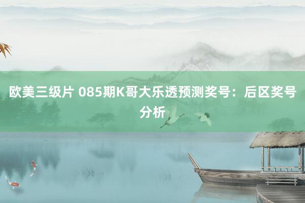 欧美三级片 085期K哥大乐透预测奖号：后区奖号分析