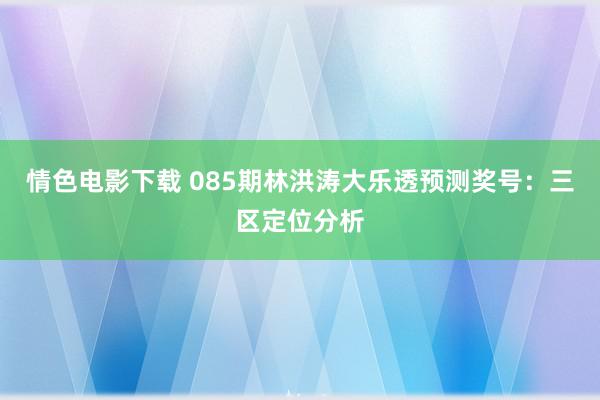 情色电影下载 085期林洪涛大乐透预测奖号：三区定位分析