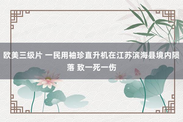 欧美三级片 一民用袖珍直升机在江苏滨海县境内陨落 致一死一伤