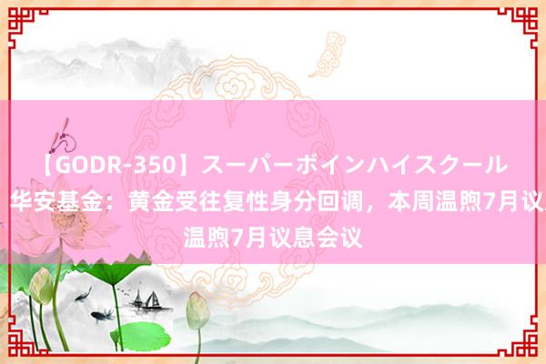 【GODR-350】スーパーボインハイスクール VOL.1 华安基金：黄金受往复性身分回调，本周温煦7月议息会议