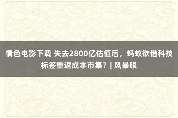 情色电影下载 失去2800亿估值后，蚂蚁欲借科技标签重返成本市集？| 风暴眼