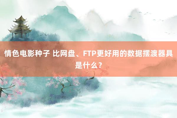 情色电影种子 比网盘、FTP更好用的数据摆渡器具是什么？