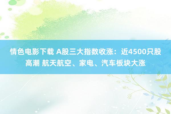 情色电影下载 A股三大指数收涨：近4500只股高潮 航天航空、家电、汽车板块大涨