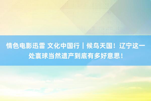 情色电影迅雷 文化中国行｜候鸟天国！辽宁这一处寰球当然遗产到底有多好意思！