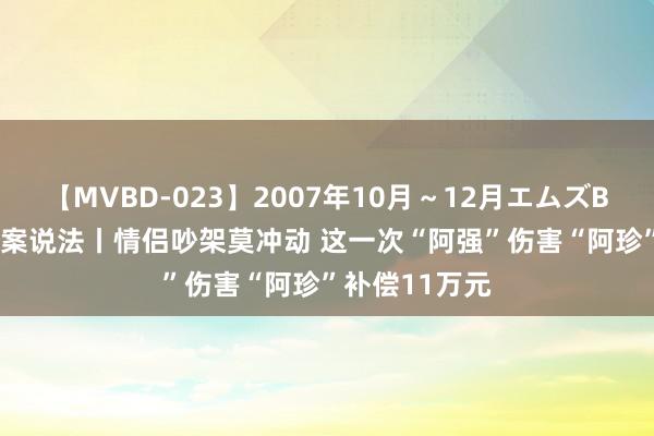 【MVBD-023】2007年10月～12月エムズBEST4時間 探案说法丨情侣吵架莫冲动 这一次“阿强”伤害“阿珍”补偿11万元