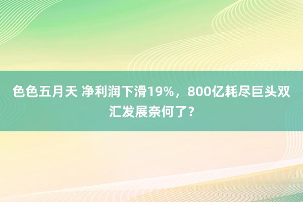 色色五月天 净利润下滑19%，800亿耗尽巨头双汇发展奈何了？