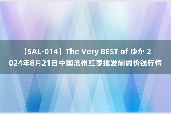 【SAL-014】The Very BEST of ゆか 2024年8月21日中国沧州红枣批发阛阓价钱行情