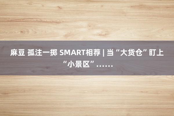 麻豆 孤注一掷 SMART相荐 | 当“大货仓”盯上“小景区”……