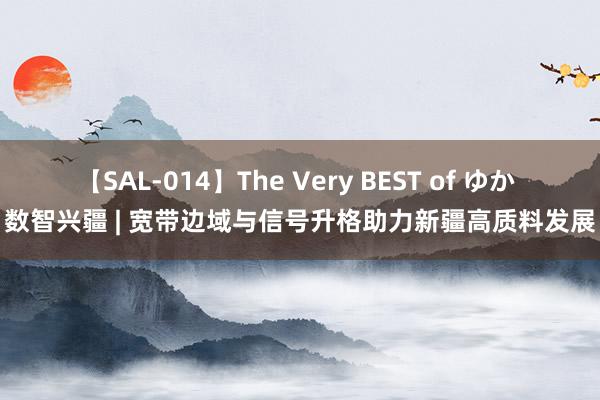 【SAL-014】The Very BEST of ゆか 数智兴疆 | 宽带边域与信号升格助力新疆高质料发展