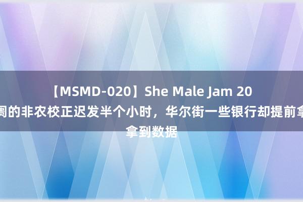 【MSMD-020】She Male Jam 20 牵动阛阓的非农校正迟发半个小时，华尔街一些银行却提前拿到数据