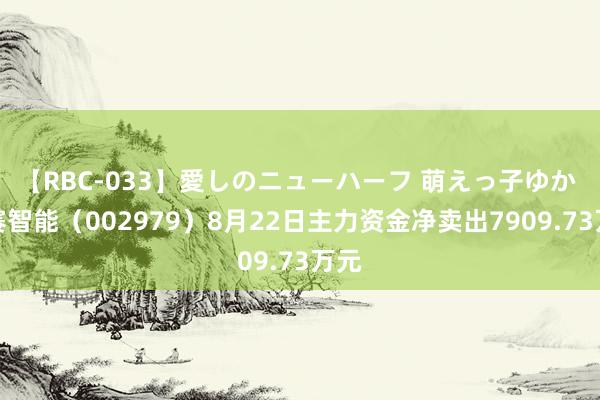 【RBC-033】愛しのニューハーフ 萌えっ子ゆか 雷赛智能（002979）8月22日主力资金净卖出7909.73万元