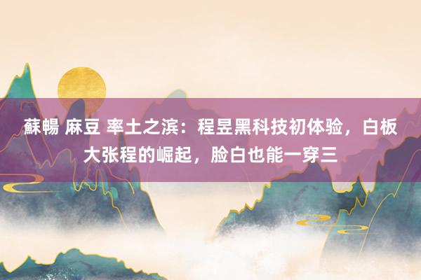 蘇暢 麻豆 率土之滨：程昱黑科技初体验，白板大张程的崛起，脸白也能一穿三