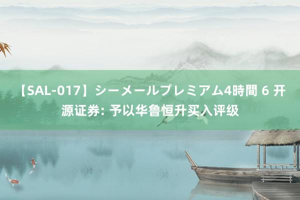 【SAL-017】シーメールプレミアム4時間 6 开源证券: 予以华鲁恒升买入评级